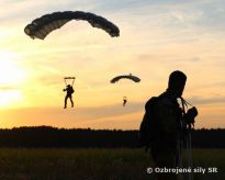 Spolon  vcvik slovenskch a panielskych ozbrojench sl 