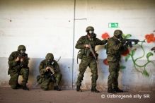 Zlon jednotka opercie EUFOR sa vrtila z Bosny a Hercegoviny